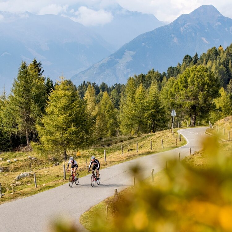 Stelvio Epic Rides: Mortirolo von Bormio