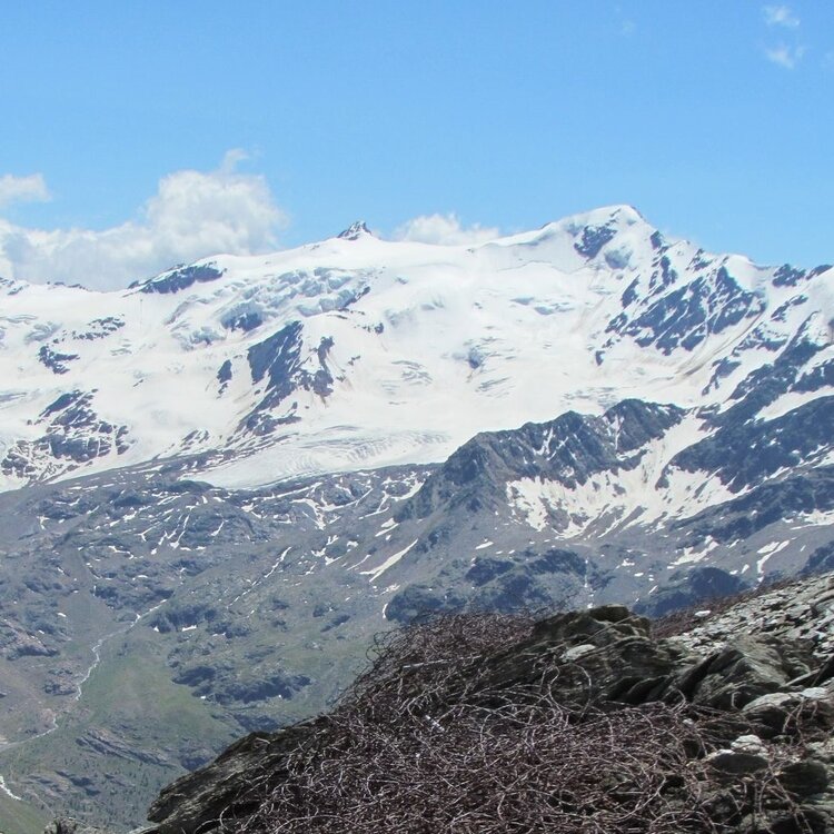 Stelvio Historical Trek: Passo Zebrù vom Forni