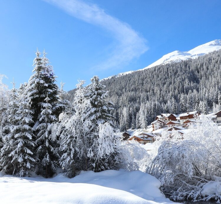 Stelvio Natural Winter Walk: Snowflakes Trail