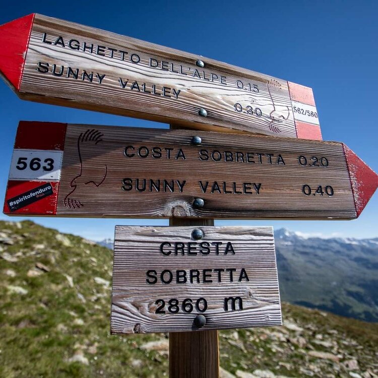 Sunny Valley Kamm Sobretta