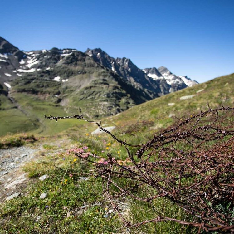 Sunny Valley - Erster Weltkrieg