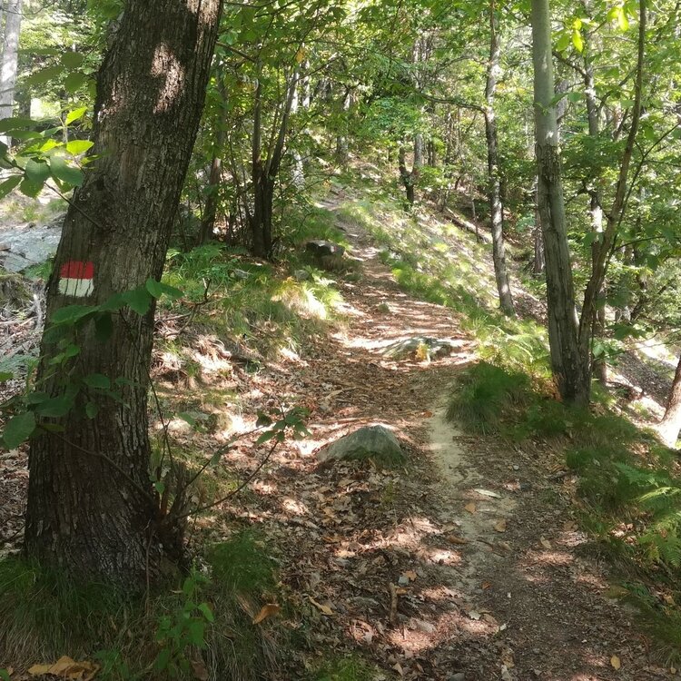 Der Weg des Giuet