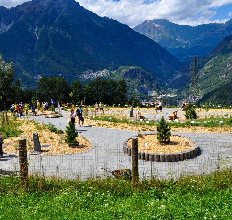 Alpengarten E. Dioli