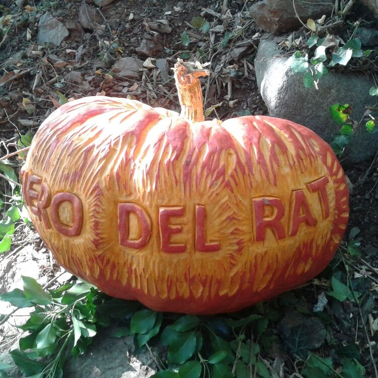 Il sentiero del Rat