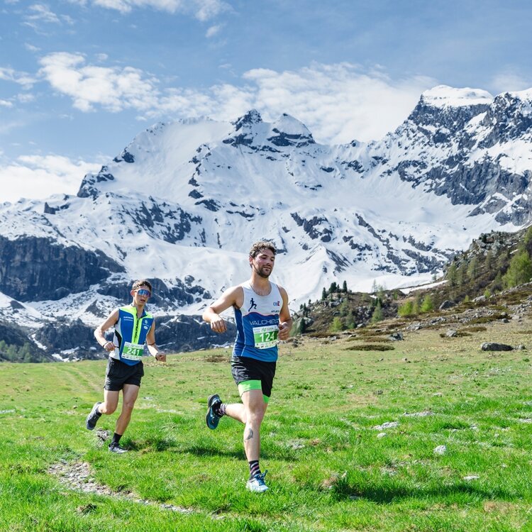 TrailRun Alta Valtellina - route