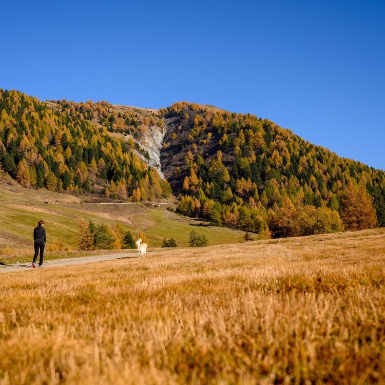 Trivigno - Guspessa Pass