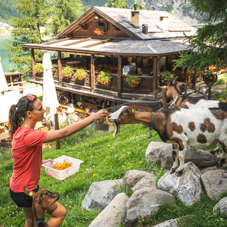 Val Alpisella Refreshment Point