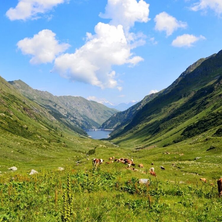 Val Venina auf Entdeckungstour des alten Schmelzofens