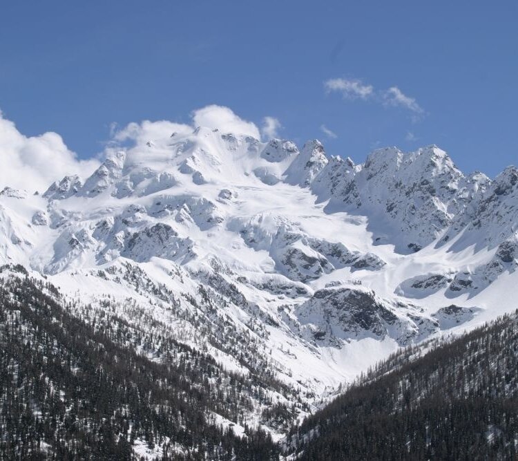 Val Viola, Wälder und Gletscher
